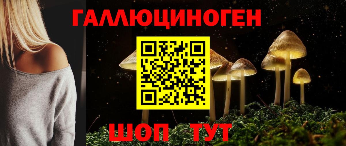 Тихорецк  Псилоцибиновые грибы мухоморы  Вход с VPN 