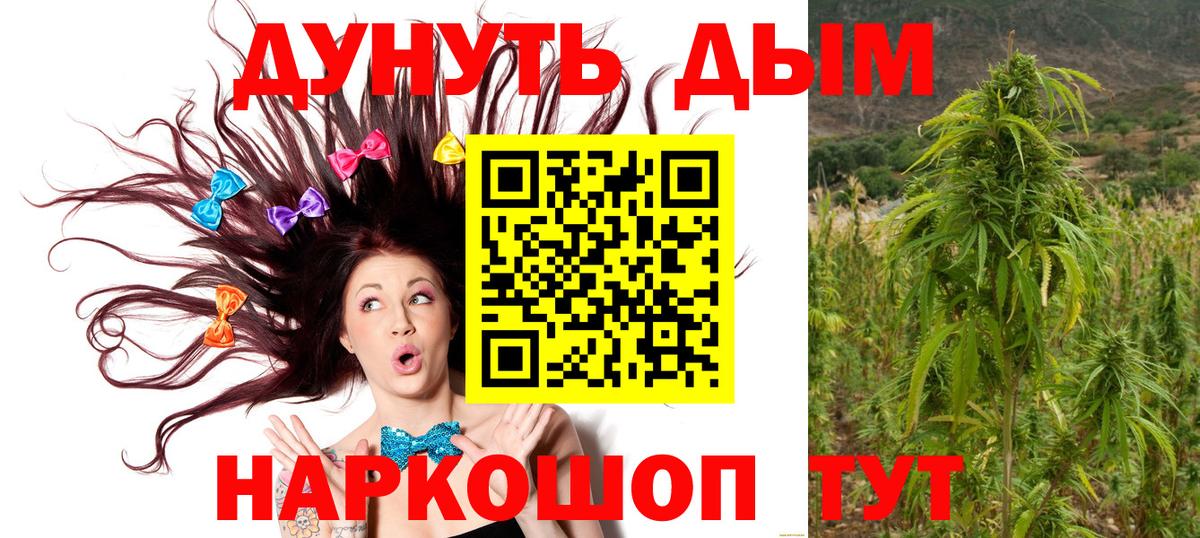 Каннабис SATIVA & INDICA  Бошки марихуана сатива  Марихуана конопля  Вход с VPN  Бошки Шишки сатива  Тихорецк 